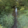 Scott Run